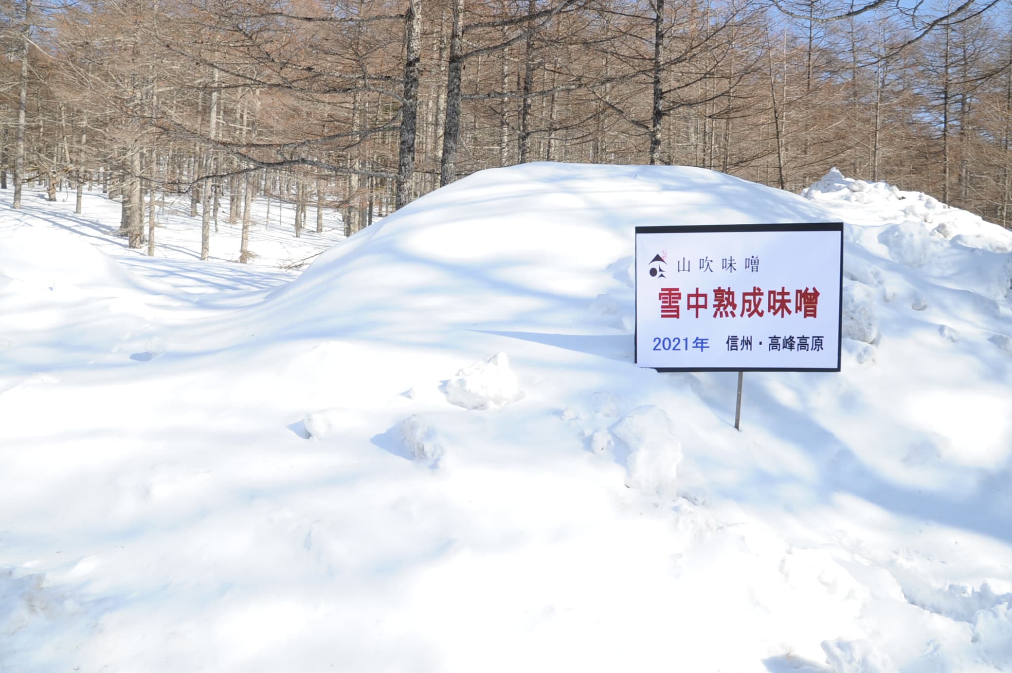 進化し続ける山吹味噌