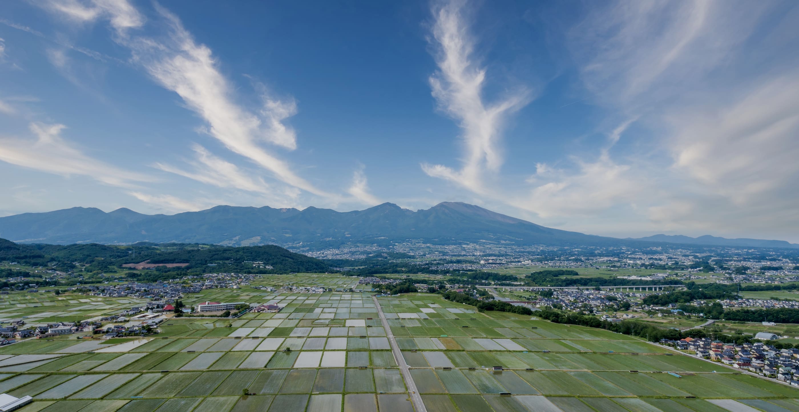 山吹味噌｜350年の歴史ある信州味噌の公式サイト