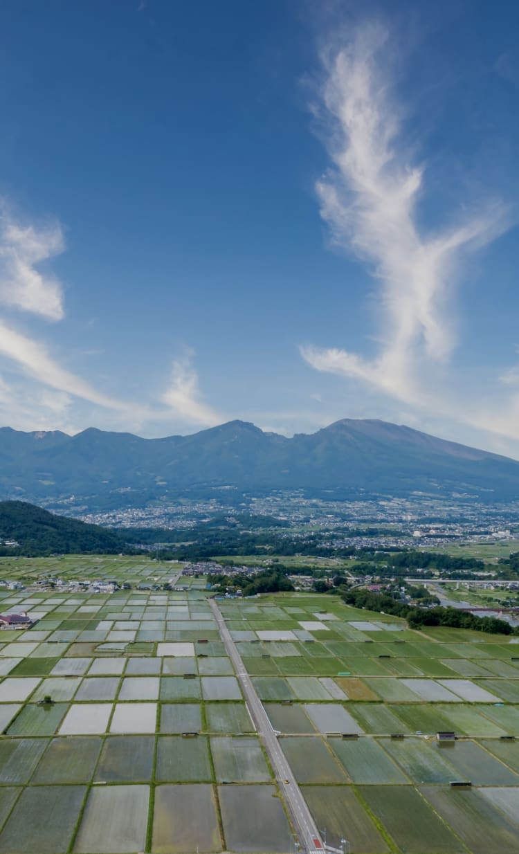 山吹味噌｜350年の歴史ある信州味噌の公式サイト