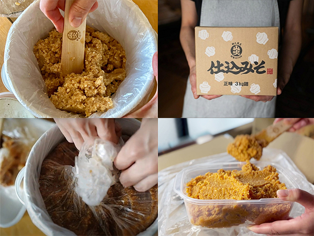 【期間限定】育てる楽しみ、味わうおいしさ「仕込みそ」